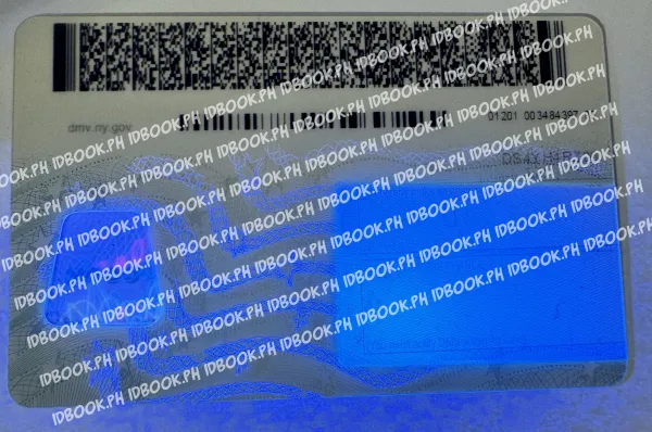 Thumbnail 3 for New Yory-old